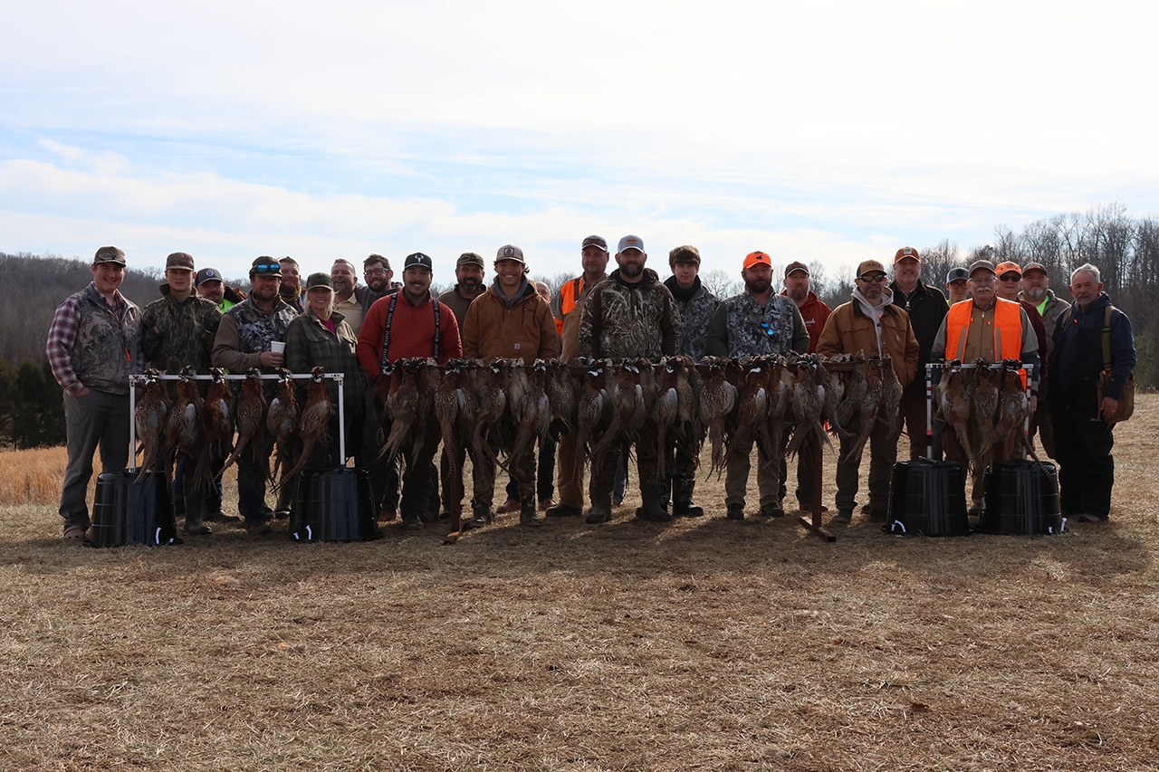 Pheasant Tower Shoot